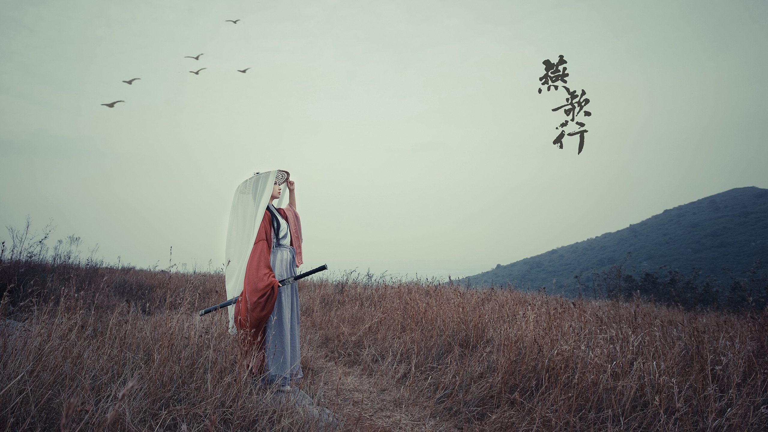 跨越时空的统治力，当三狮咆哮与银球飞旋，诉说同一种王权