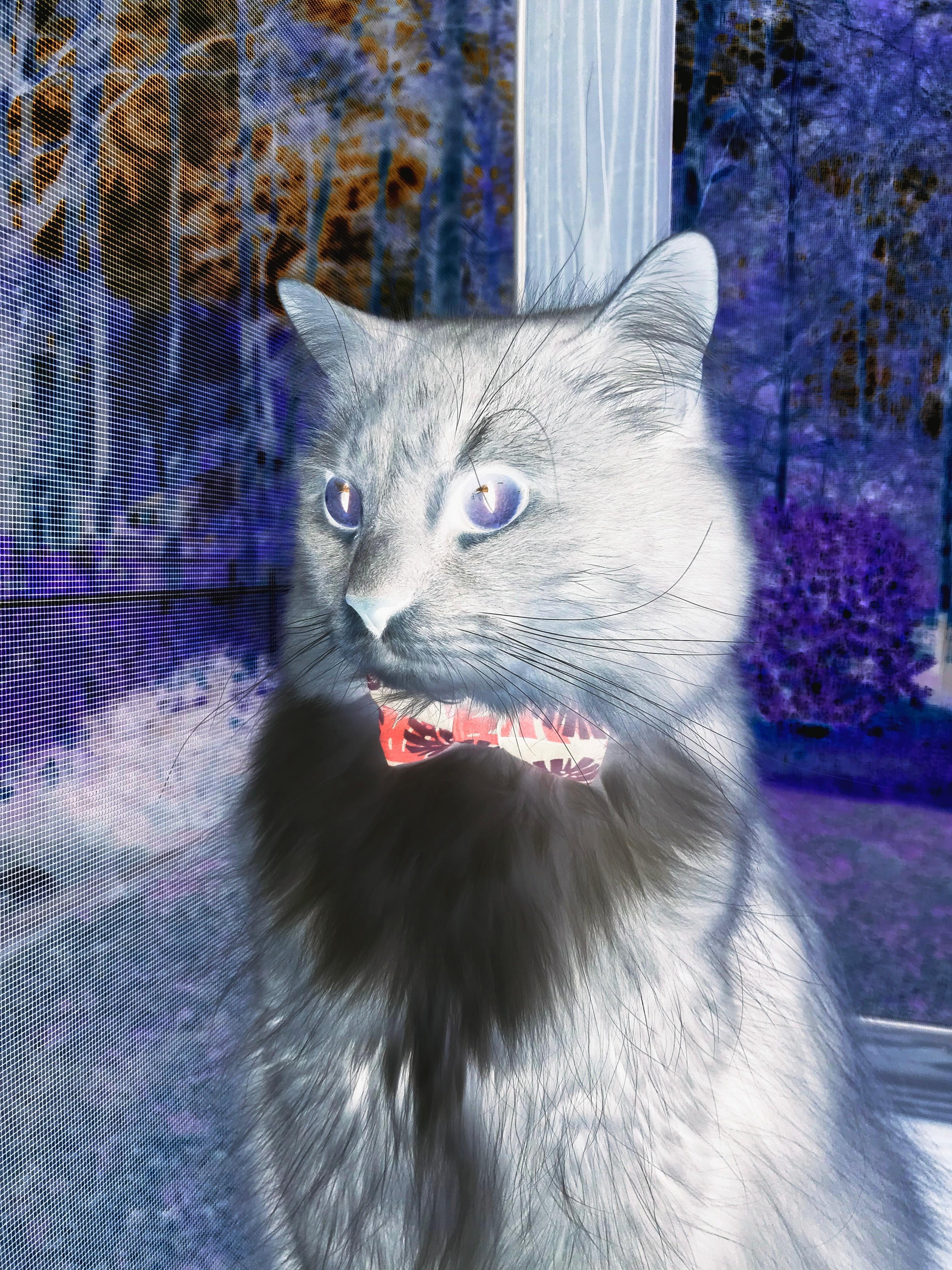 破局时刻，从浙江打穿广厦到东契奇连斩，当代篮球的关键先生现象