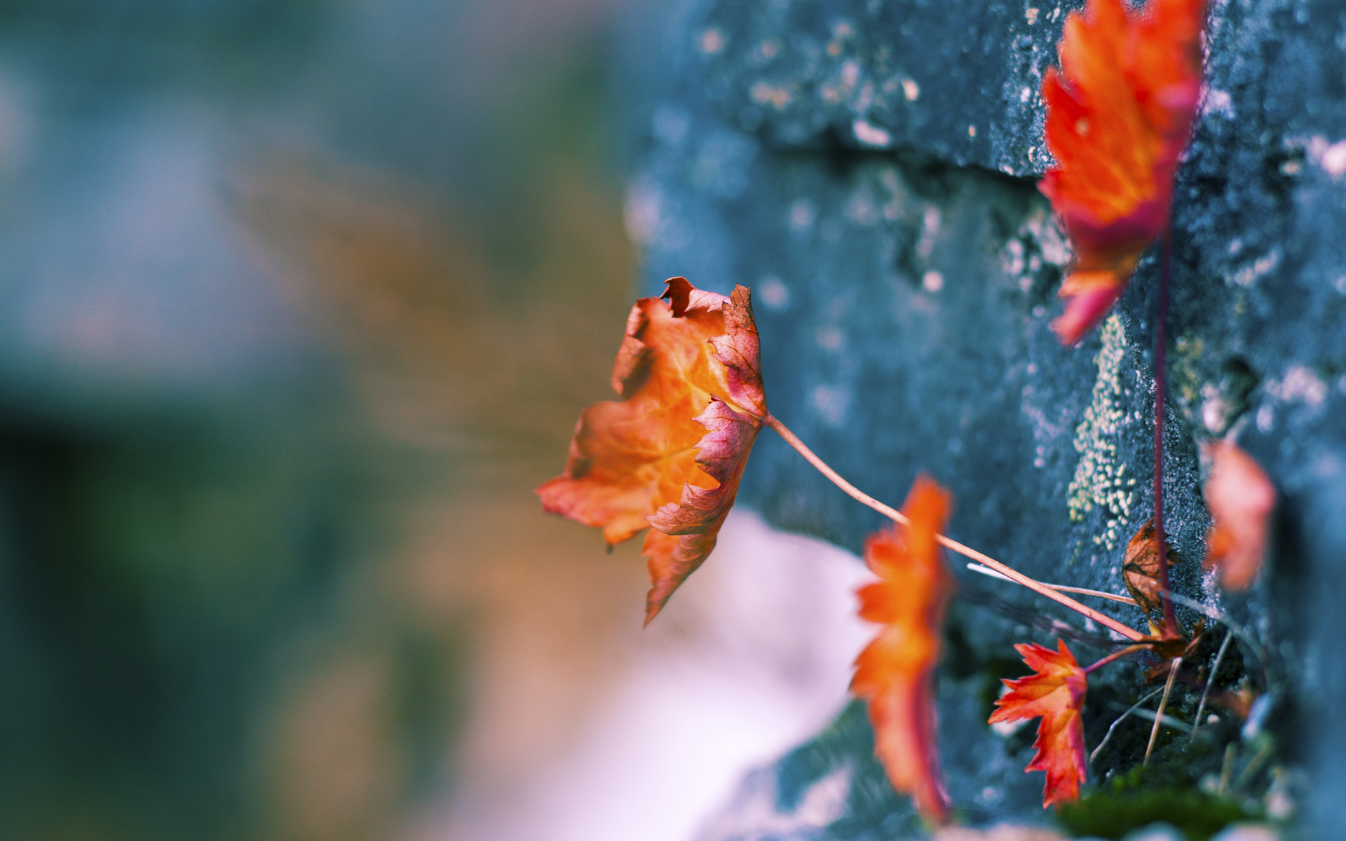 42分+绝命三分！利拉德引爆客场，黄蜂决胜局葬送热火赛季
