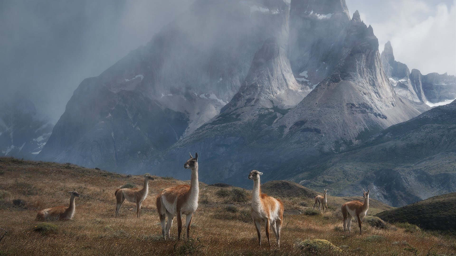 新约基奇闪耀!山西团队篮球加时掀翻卫冕冠军辽宁