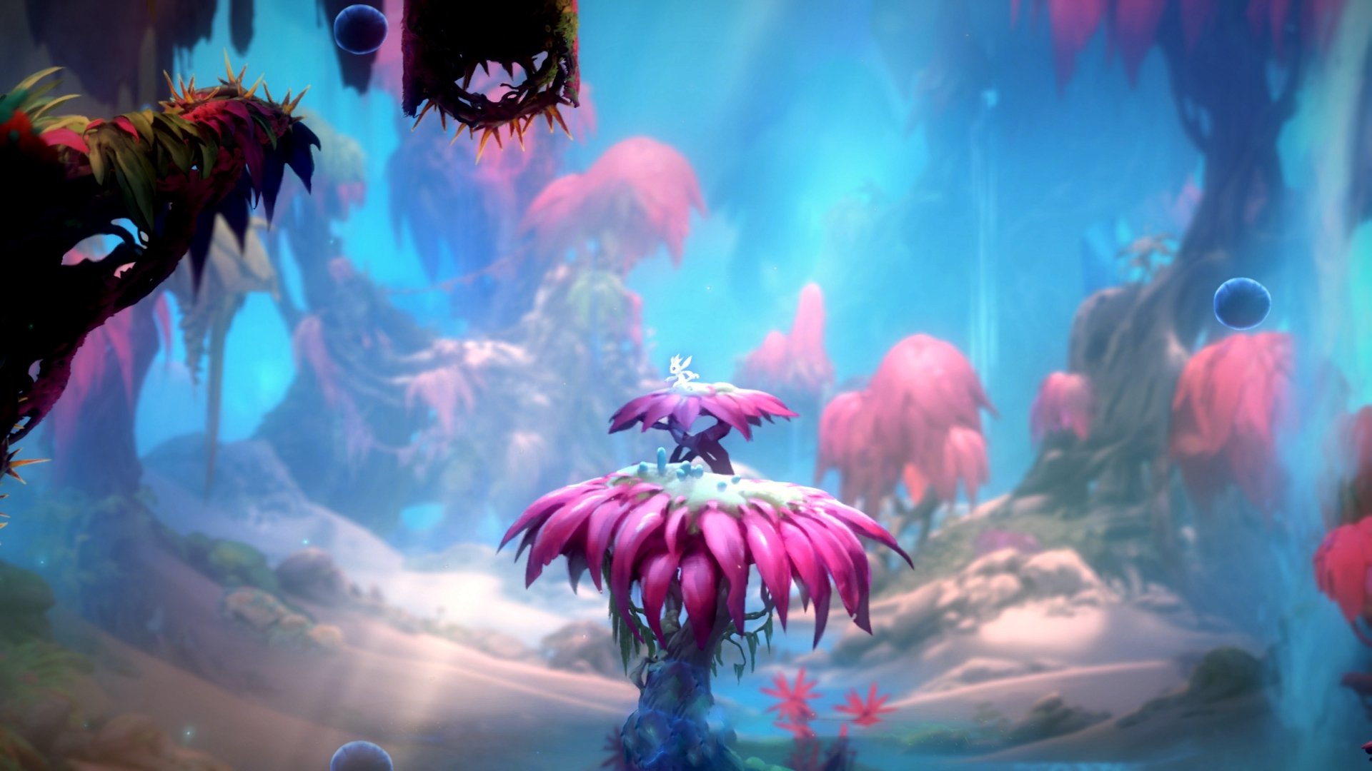 基米希的量子纠缠,为何荷兰输球后,唯独他的爆冷是逆行者?