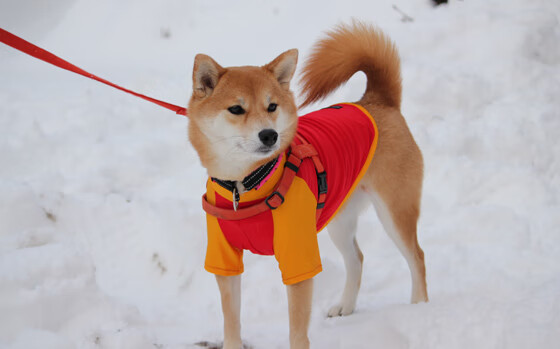孤胆英雄难救主！爱德华兹空砍40+热火团队狂潮席卷吉林