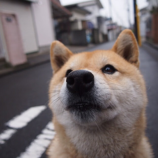 一个人的证明与一支队的胜利