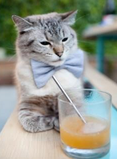 蜂鸣器前的审判，杰伦·格林压哨绝杀，热火险胜国王的背后叙事