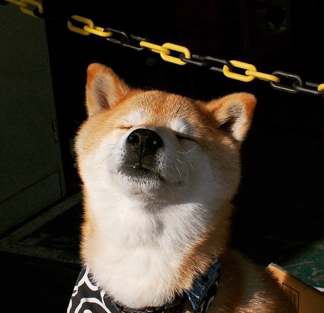 萨内的一夜封神，哥斯达黎加对阵洪都拉斯的雨战中，一个天才完成自我救赎