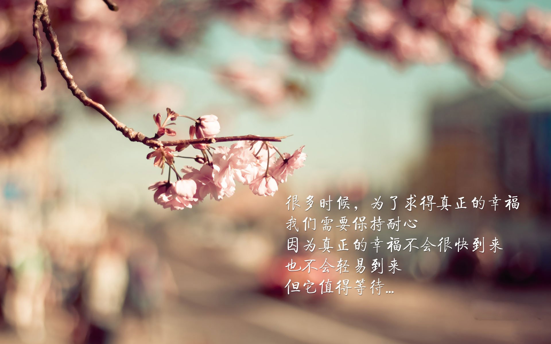 北境之光刺破南亚迷雾,2026世界杯G组焦点战,挪威三叉戟完胜印度,维尼修斯以天神姿态主导比赛