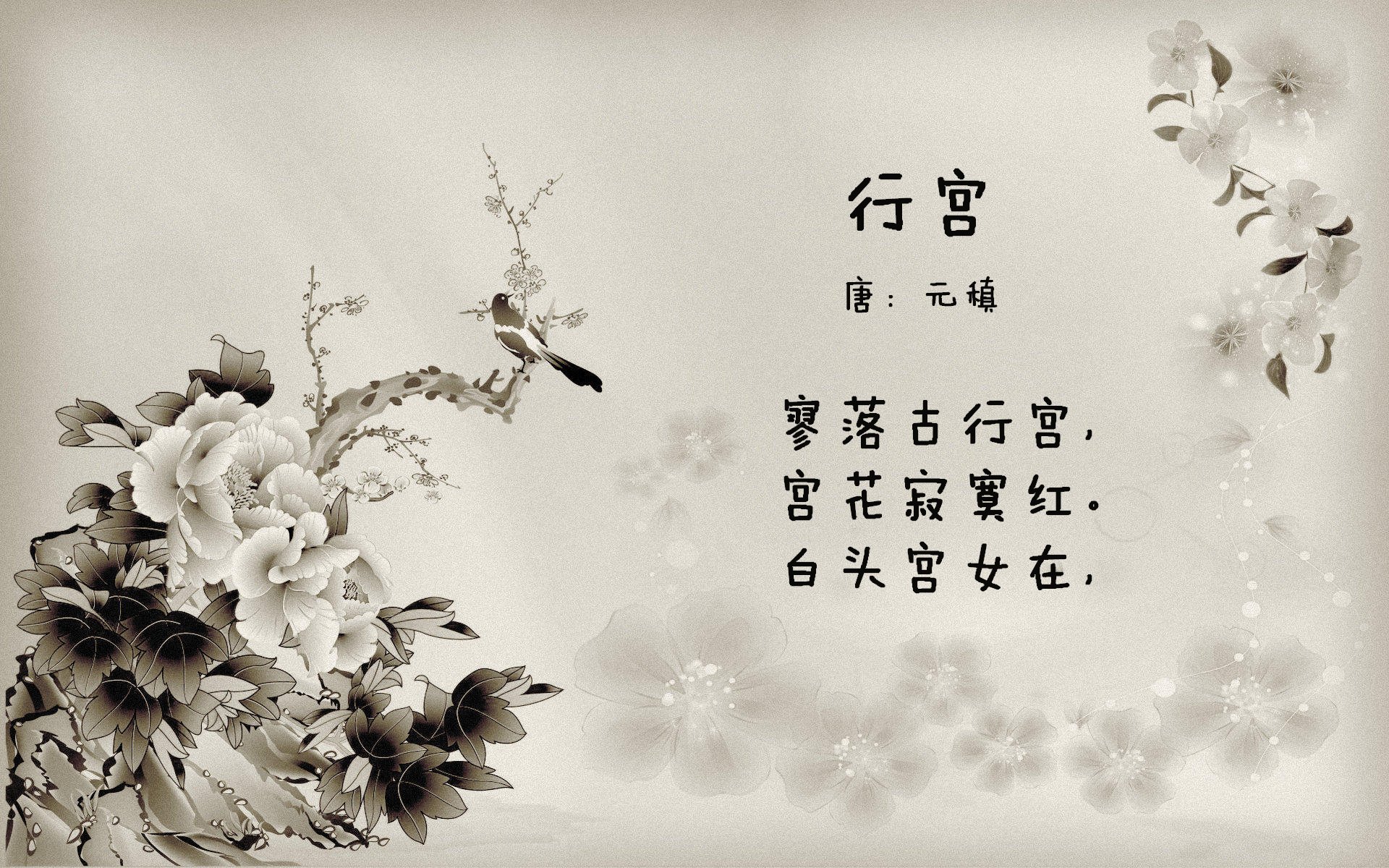 卡萨布兰卡的回响,2026世界杯,当历史重演,C罗与摩洛哥的宿命对决