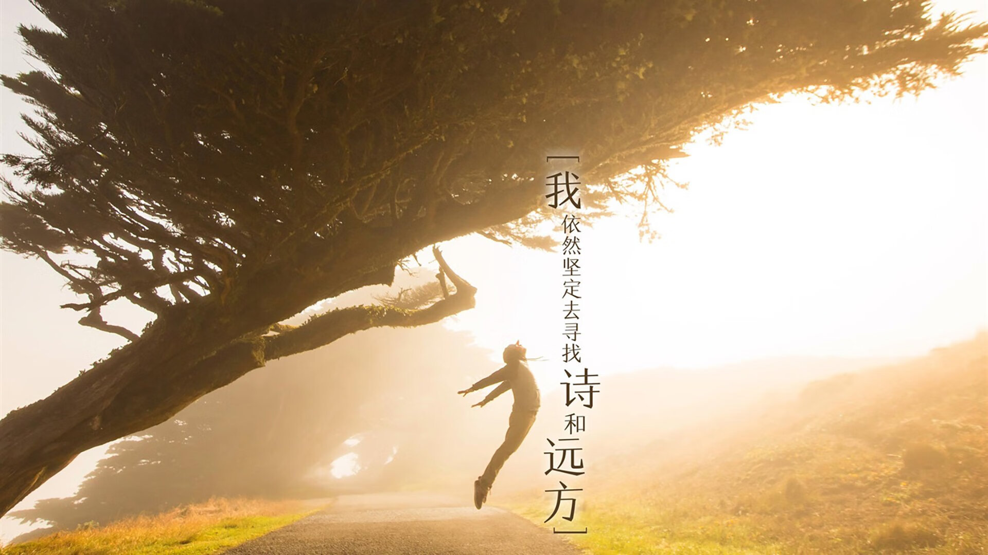 唯一的光,巴西对斯洛伐克,坎塞洛的世界杯独白