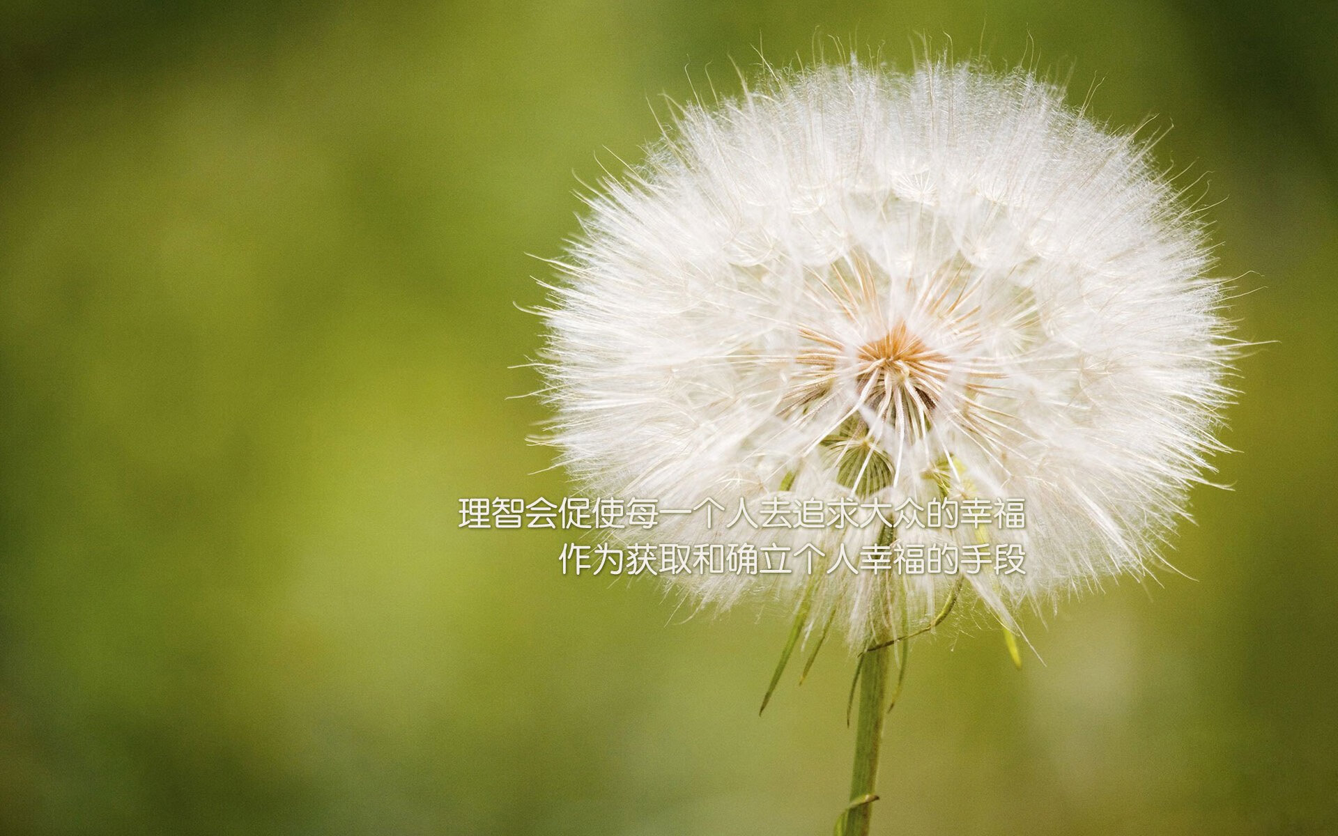 绝杀之巅，当范戴克的铁头撞开2026世界杯B组的天平